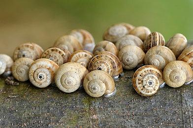 《使命召唤19》Vault版介绍 10月28日正式发售