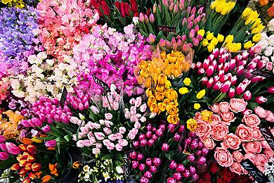 《古惑狼》对战游戏《Wumpa League》早期实机泄露